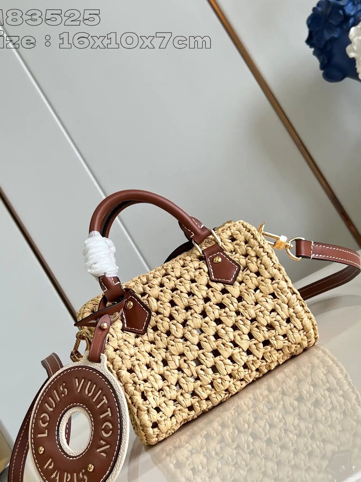NANO SPEEDY-16-10-7.5cm LOUIS VUITTON 0523